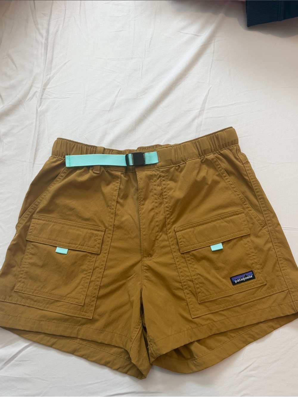 Patagonia Men's Brown Cargo Shorts with Teal Belt Accents